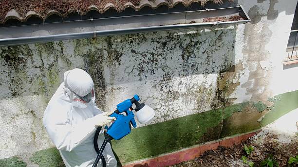 Top rated local Attic Mold Remediation specialists in Newton, NJ
